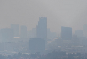 Toxic air pollution particles found in human brains 